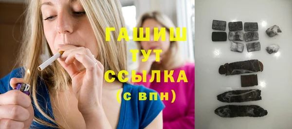 гашик Алексеевка